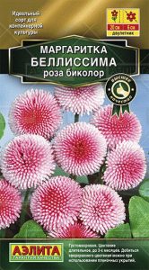 Маргаритка Белиссима  Роза Биколор 7шт/ЦП