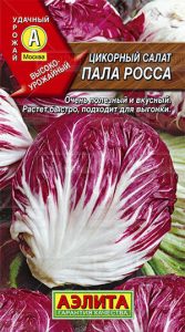 Цикорный салат Палла Росса 0,5г высокоурож,холодост/ЦП