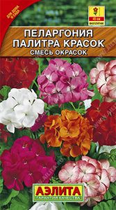 Пеларгония Палитра Красок смесь окрасок 10с Cел.Farao /комнатные/ЦП