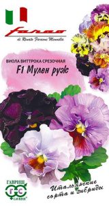 Виола Мулен Руж Витрокка F1 срезочная /5шт сер.Фарао /двулетник/ЦП