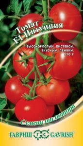 Томат Интуиция F1 /12шт среднеспел,индетерм сер.Семена от автора/ЦП