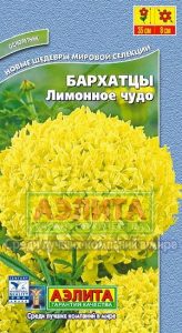 Бархатцы Лимонное Чудо 0,1г прямост, Н35см /однолетник/ЦП