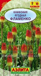 Книфофия ягодная Фламенко 0,1г Н100см /многолетник/ЦП