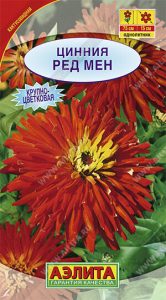 Цинния Ред Мен кактусовидная 0,3г Н75см крупноцвет,красная /однолетник/ЦП