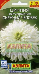 Цинния Снежный Человек кактус 0,3гр Н75см белая /однолетник/ЦП