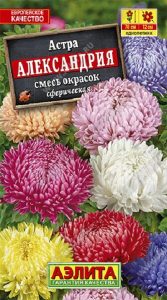 Астра Александрия Смесь окрасок сферическая 0,2гр Н70см /однолетник/ЦП