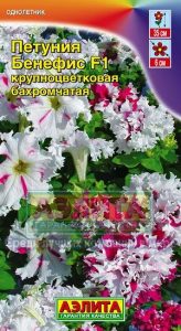 Петуния Бенефис F1 крупноцвет бахромчат смесь 10с (драже в пробирке) сел.Cerny /однолетник/ЦП