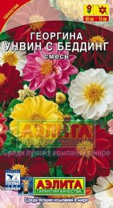 Георгина Унвин с Беддинг Смесь  Н60см Ø15см  0,3г /однолетник/ЦП