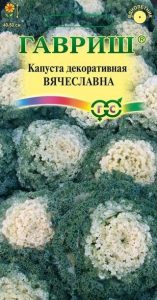 Капуста декор. Вячеславна (воронеж белая) 0,1гр Н50см /однолетник/ЦП