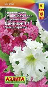 Фриллитуния Дайкири F1 Смесь бахром крупноцвет 10с (драже в пробирке) Н30см /однолетник/ЦП