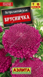 Астра Брусничка китайская 0,2гр Н60см /однолетник/ЦП