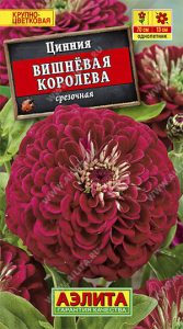 Цинния Вишневая Королева срезочная 0,3г Н70см крупноцвет,темн-вишн /однолетник/ЦП