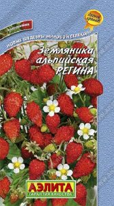 Земляника Регина F1 альпийская 0,04гр суперурожайная/ЦП
