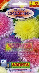 Астра Сидония Смесь 0,2гр Н70см помпон /однолетник/ЦП