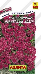 Седум Пурпурный Ковер (очиток) 0,02г Н15см /многолетник/ЦП