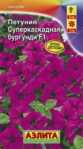 Петуния СуперКаскадная F1 Бургунди крупноцвет 10с (драже в пробирке) Сел.PanAmerican Seed /однолетни/ЦП