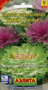 Капуста декор. Династия F1 смесь 10с Н35см /однолетник/ЦП