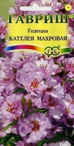 Годеция Каттлея Махровая розов.Н40см 0,1г /однолетник/ЦП