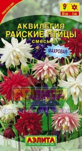 Аквилегия Райские Птицы смесь 0,2г /многолетник/ЦП