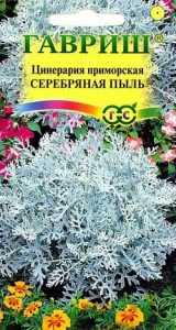 Цинерария Серебряная Пыль (белая).приморская 0,1г Н15см /однолетник /ЦП