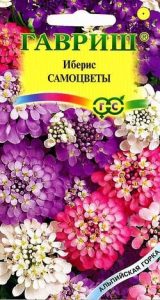 Иберис Самоцветы смесь 0,2г Н30см сер.Альпийская горка /однолетник/ЦП