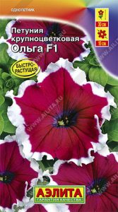 Петуния Ольга F1 крупноцвет 10с (драже в пробирке) Сел.PanAmerican Seed /однолетник/ЦП