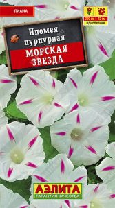 Ипомея Морская Звезда 0,5г бело-розов Н300см Ø12см /однолетник /ЦП