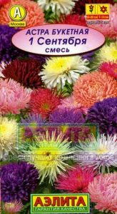 Астра 1-ое Сентября смесь букетная 0,2гр Н50-80см /однолетник/ЦП