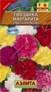 Гвоздика Маргарита Смесь Окрасок Садовая махр.крупноцвет 0,1г Н30см /однолетник/ЦП