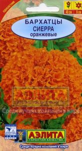 Бархатцы Сиерра оранж.густомахр. Н70см, Ø8см 0,3гр /однолетник/ЦП