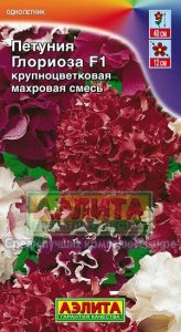 Петуния ГЛОРИОЗА F1 крупноцвет махров смесь 10шт (драже в пробирке) сел.PanAmerican Seed /однолетник/ЦП