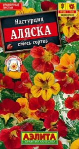 Настурция Аляска смесь сортов 1гр Н40см /однолетник (4601729050268)/ЦП