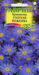 Брахикома Голубая Неженка 0,05г /однолетник/ЦП