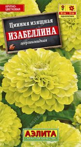 Цинния георгиноцветковая Изабеллина изящная 0,3г Н90см крупноцвет,жел-зел /однолетник/ЦП