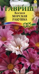 Космея Морская Ракушка смесь 0,3гр  Н80-150см /однолетник/ЦП