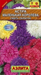 Астра Маленькая Королева смесь окрасок 0,2гр Н20см /однолетник/ЦП