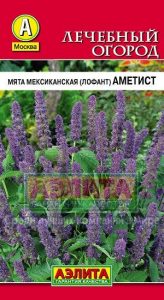 Мята Аметист 0,05гр мексиканская (Лофант) /парекрасный медонос/ЦП