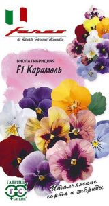 Виола Карамель Витрокка F1 /10шт сер.Фарао /двулетник/ЦП