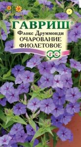 Флокс друммонда Очарование Фиолетовое 0,05г Н25см /однолетник/ЦП