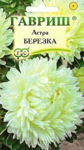 Астра Березка 0,3гр Н55см /однолетник/ЦП