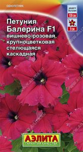 Петуния Балерина F1 ВИШНЕВО-РОЗОВАЯ крупноцвет бахромчат стелющаяся 10с (драже в пробирке) /однолетн/ЦП