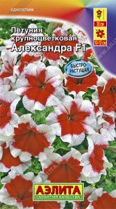 Петуния Александра F1 крупноцветковая 10с (драже в пробирке) сел.Фарао /однолетник/ЦП