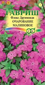 Флокс друммонда Очарование Малиновое 0,05г Н25см /однолетник/ЦП