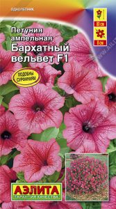 Петуния Бархатный Вельвет F1 ампельная (тип СУРФИНИЙ) 5с (драже в пробирке) сел.Cerny /однолетник/ЦП