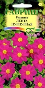 Георгина Лента пурпурная 0,2г Н40см /однолетник/ЦП