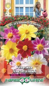 Георгина Чародейка, смесь 0,3г сер.Чудесный балкон /однолетник/ЦП