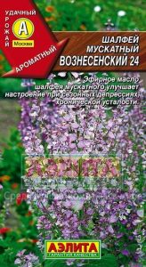 Шалфей Мускатный Вознесенский 24 /2гр декоративные и лекарственные качества/ЦП