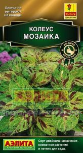 Колеус Блюме Мозаика 10с комнат Н35см Сел.PanAmerican Seed Золотая сер /однолетник/ЦП