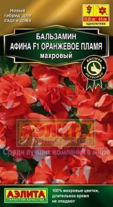Бальзамин Афина F1 Оранжевое Пламя 5шт Сел.Floranova Золотая сер /однолетник/ЦП