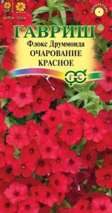 Флокс друммонда Очарование Красное 0,05г Н25см /однолетник/ЦП